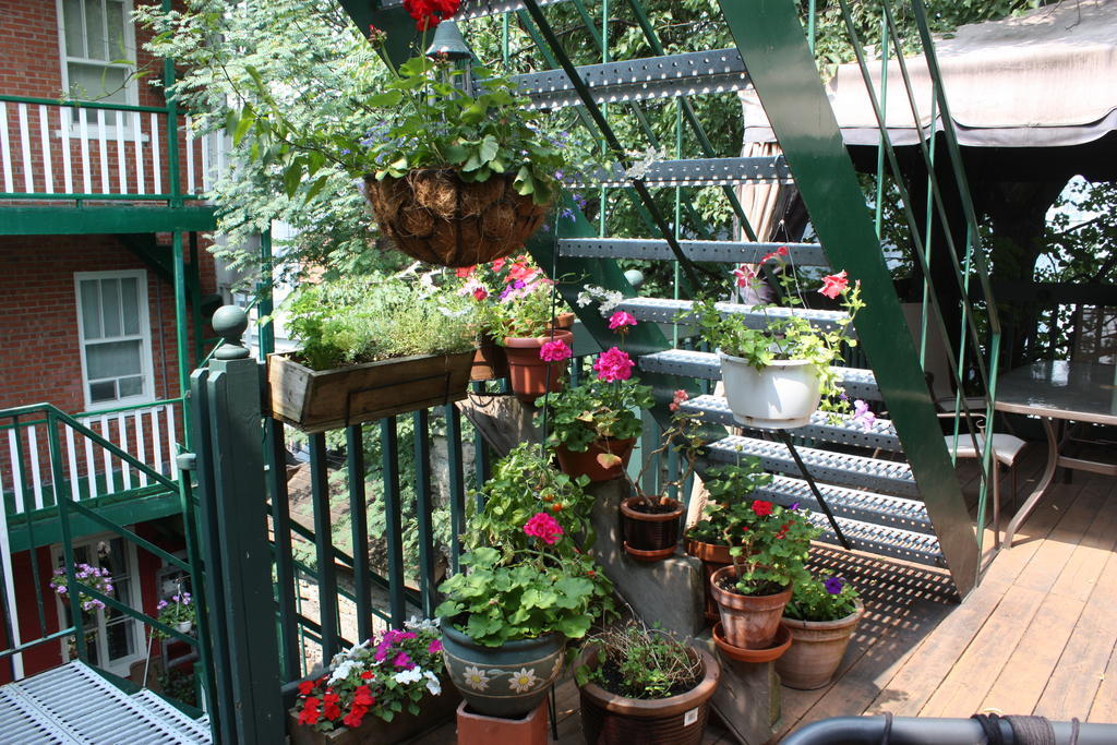Le Coureur Des Bois Bed & Breakfast Квебек Екстериор снимка